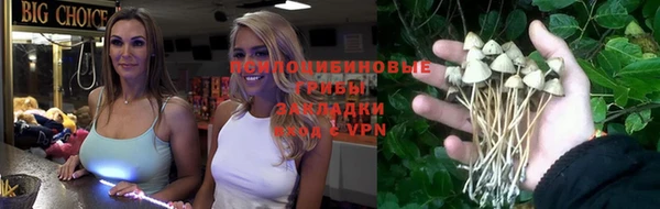 герыч Зеленокумск