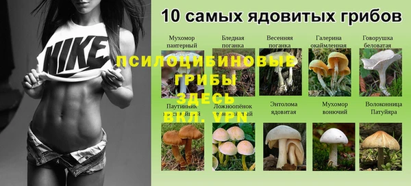 мяу мяу мука Зеленодольск