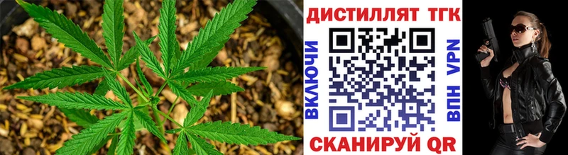 Дистиллят ТГК вейп с тгк  Купить закладки  Ржев 