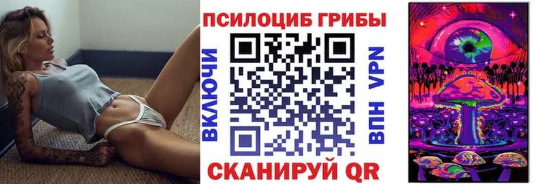 Купить  Ржев  Псилоцибиновые грибы мицелий 